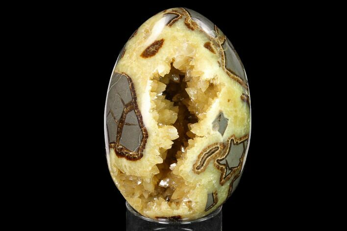 Calcite Crystal Filled Septarian Geode Egg - Utah #167880